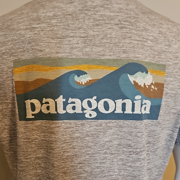 Patagonia Capilene Cool Daily Graphic Tee - Boardshort Logo Grey M - Picture 5 of 6